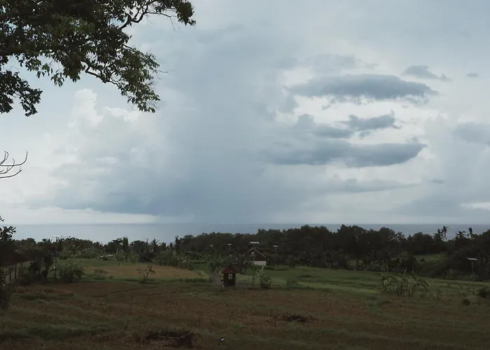 Soko' At Kedungu Танах Лот